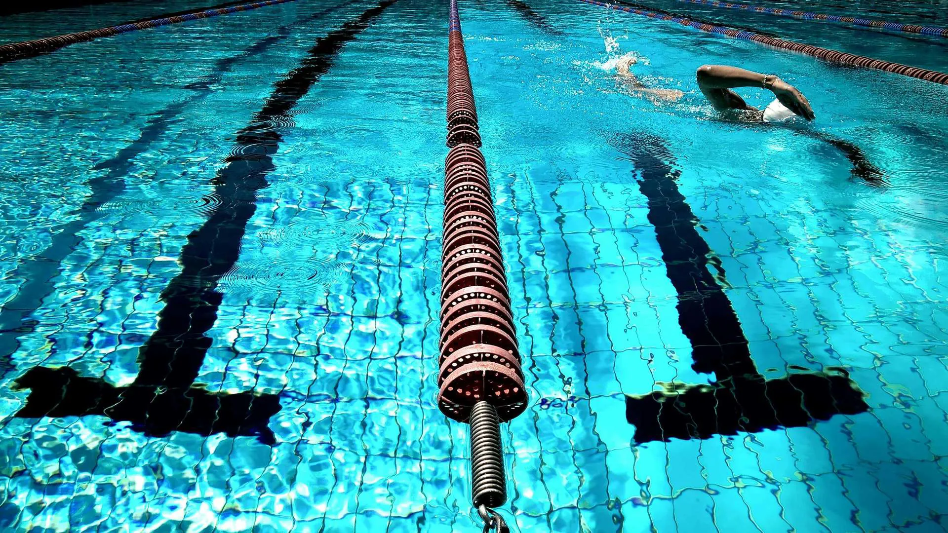 Opal Coast Swimming Pool Image