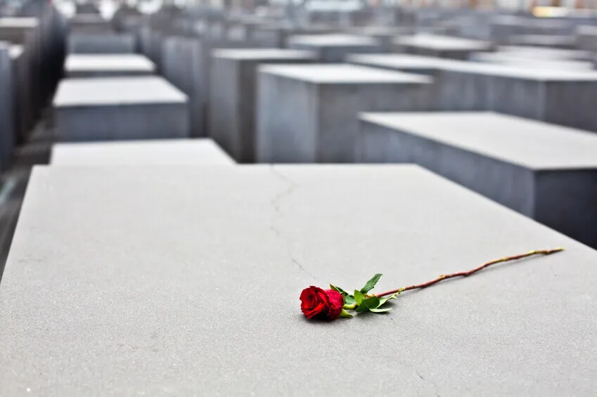 Berlin Jewish Memorial Rose Flower Holocaust Image