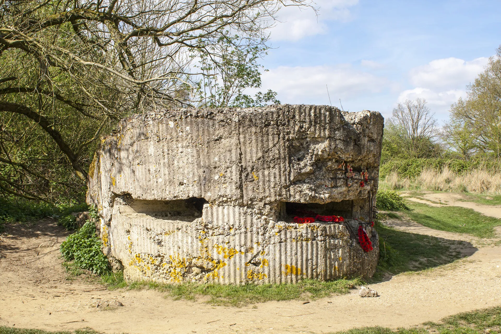 Ypres Hill 60 Image