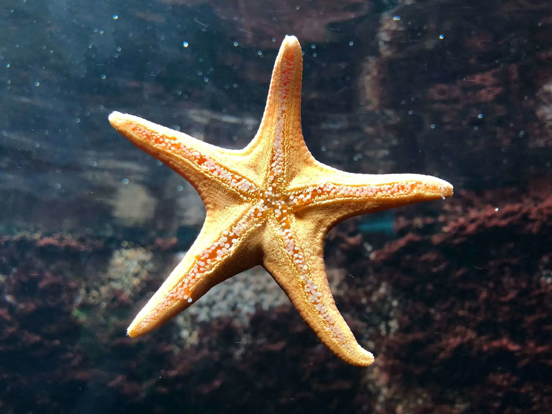 Clara Cordero Whvoa1n8cia Unsplash