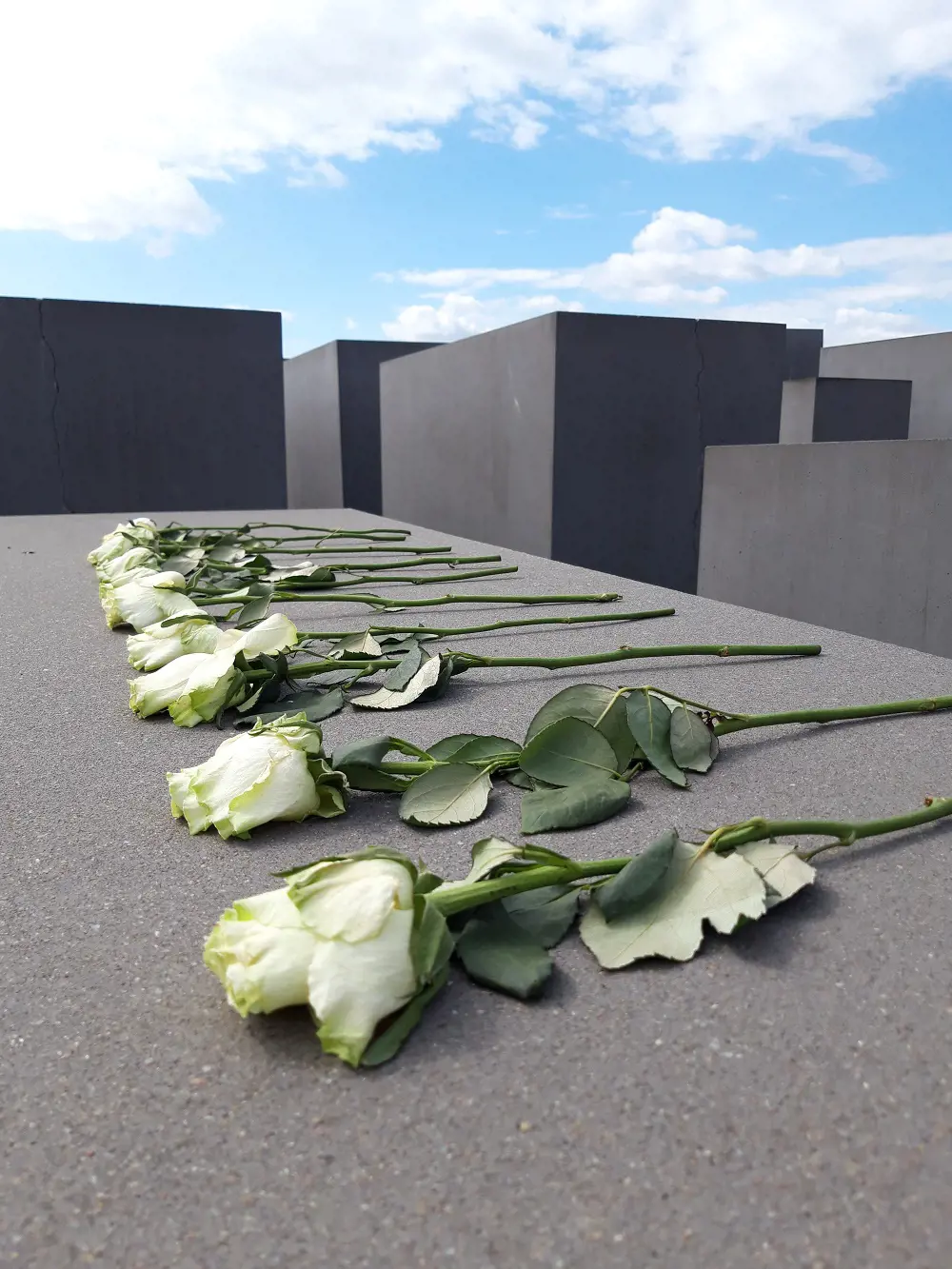 Holocaust Memorial Roses
