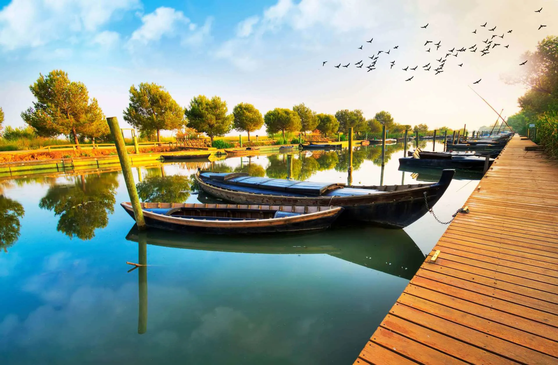 Valencia - La Albufera Natural Park boats Image