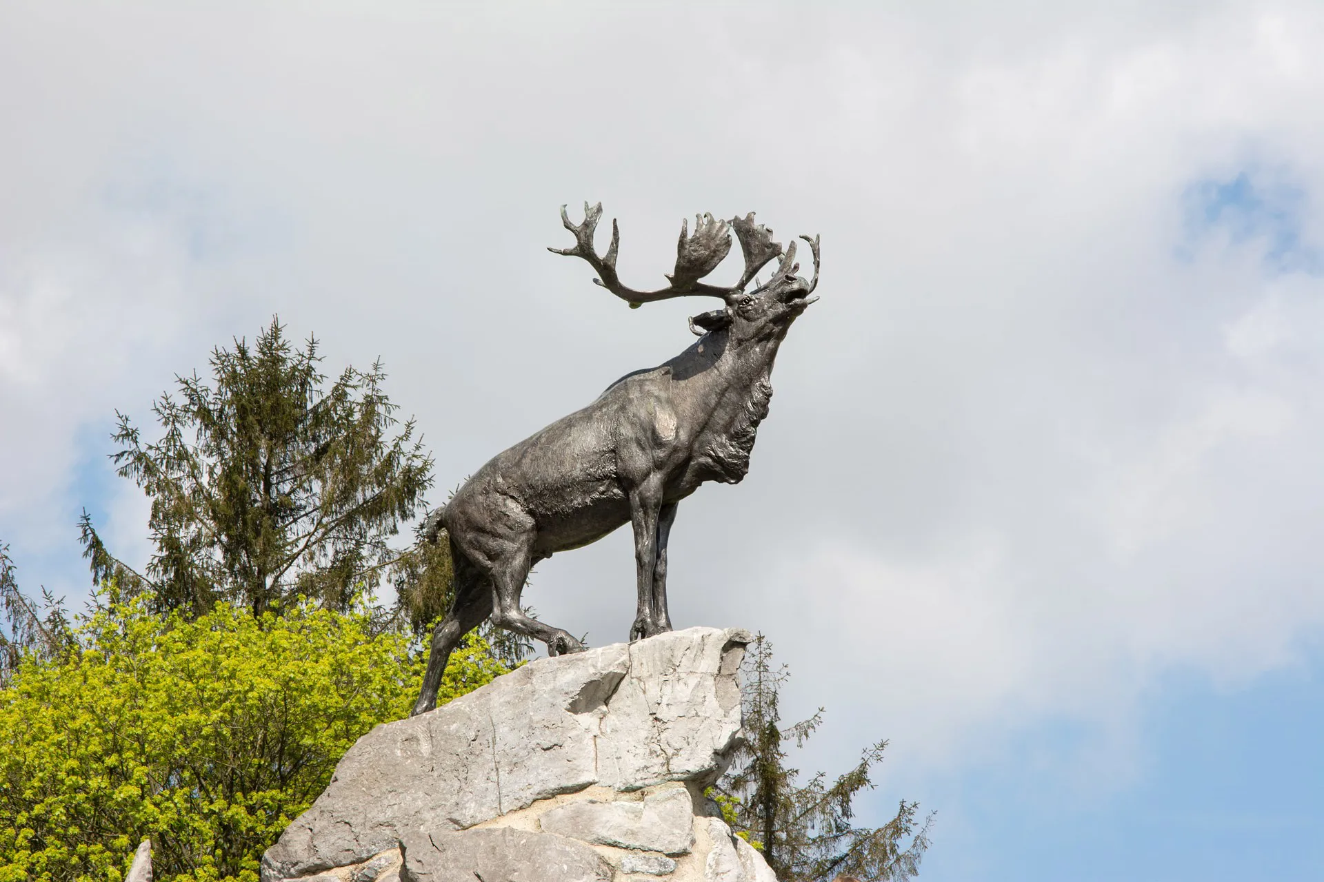 Newfoundland Park