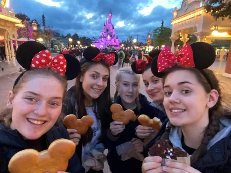 Dlp1 Image