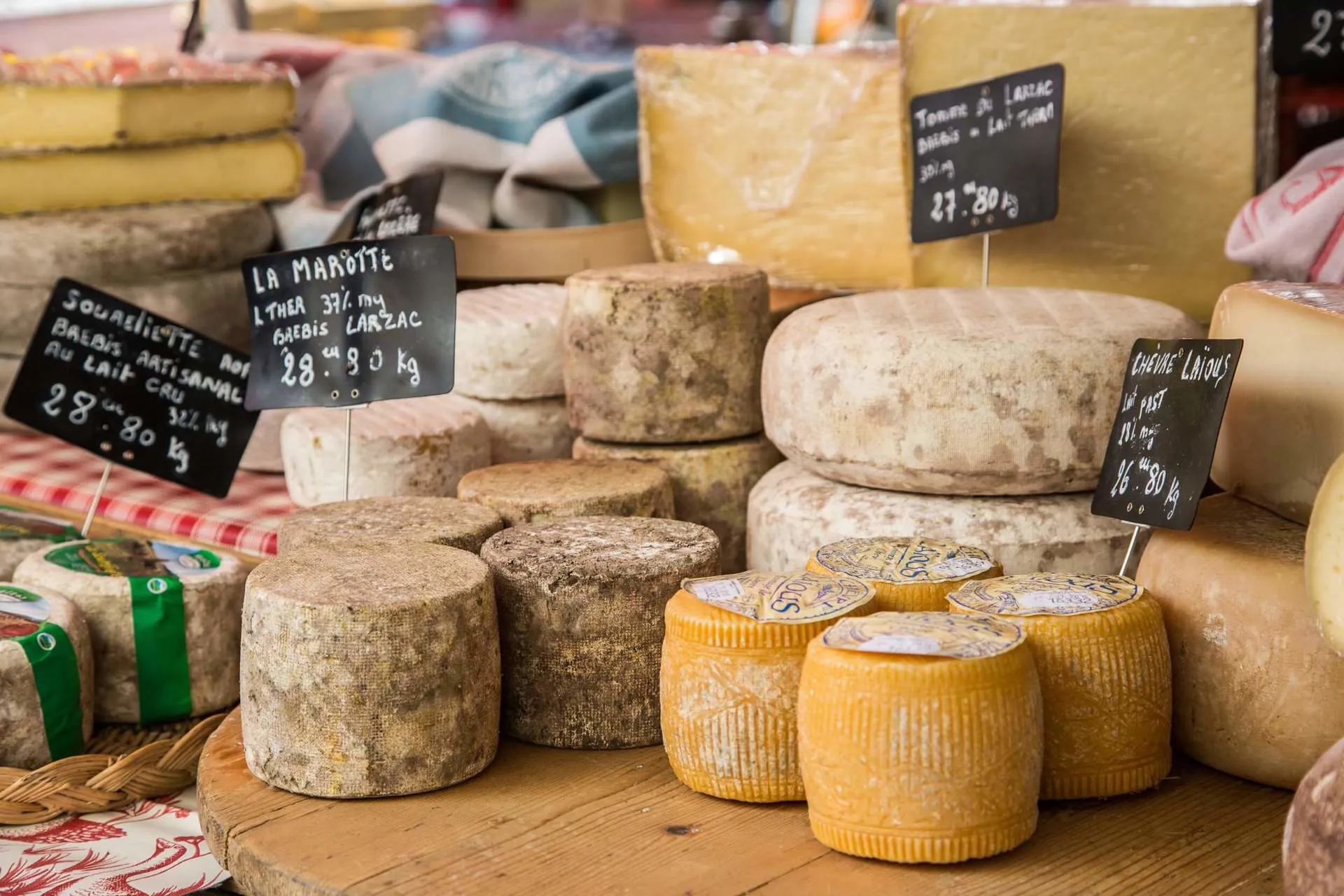 Opal Coast Cheese Image