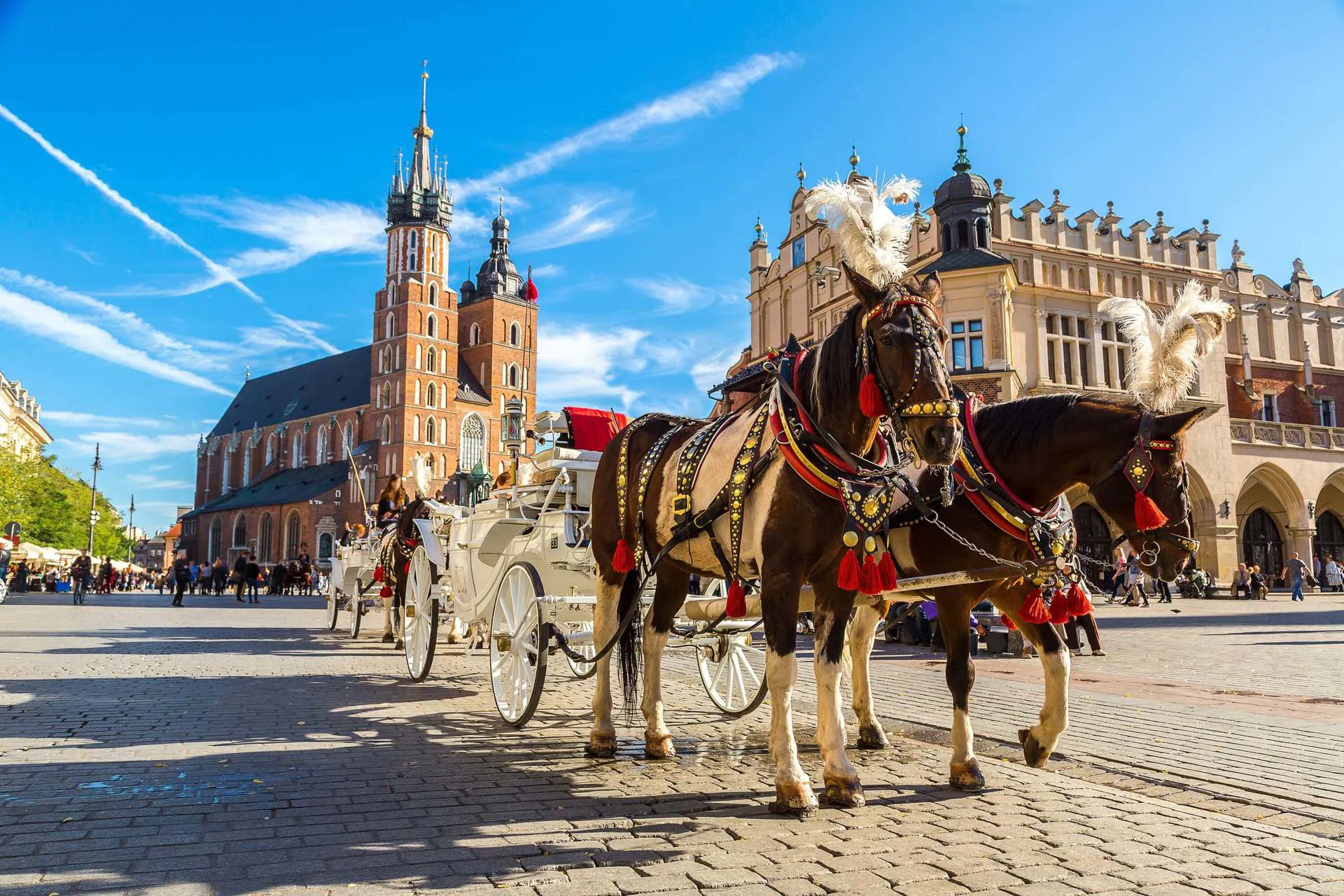 Krakow Horse Carriage Square Image