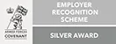 Armed Forces Silver Award 3