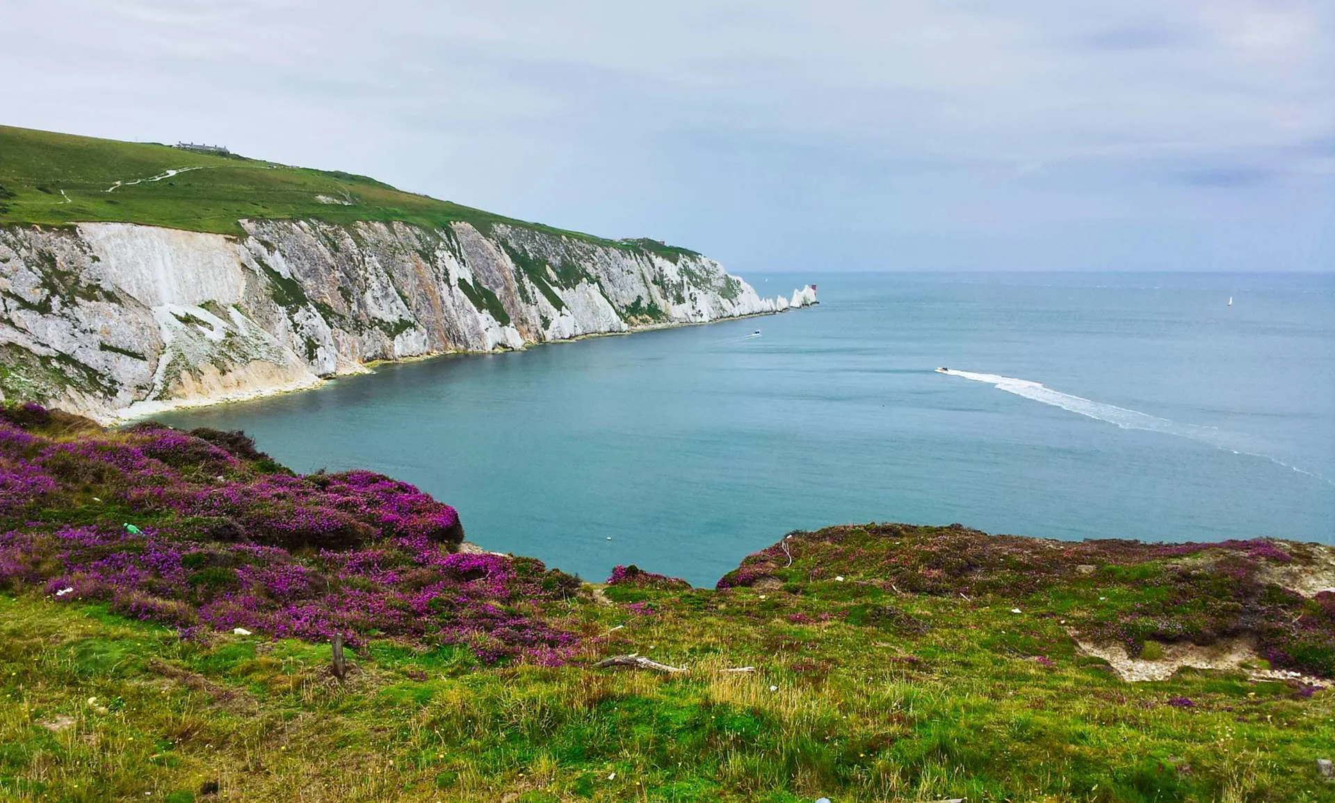 Isle of Wight - Coastal View Needles Image