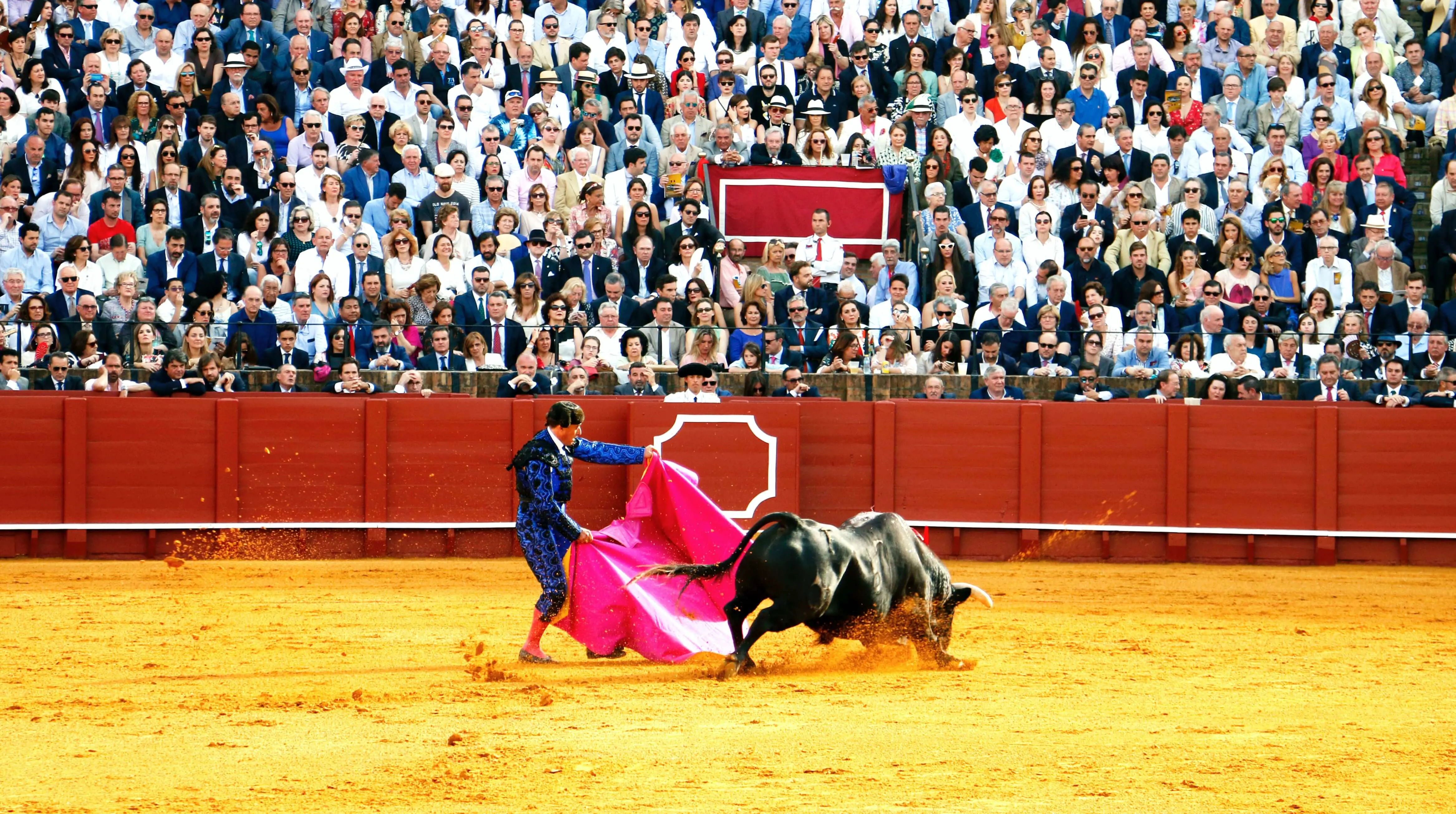 Madrid Bull Fighting