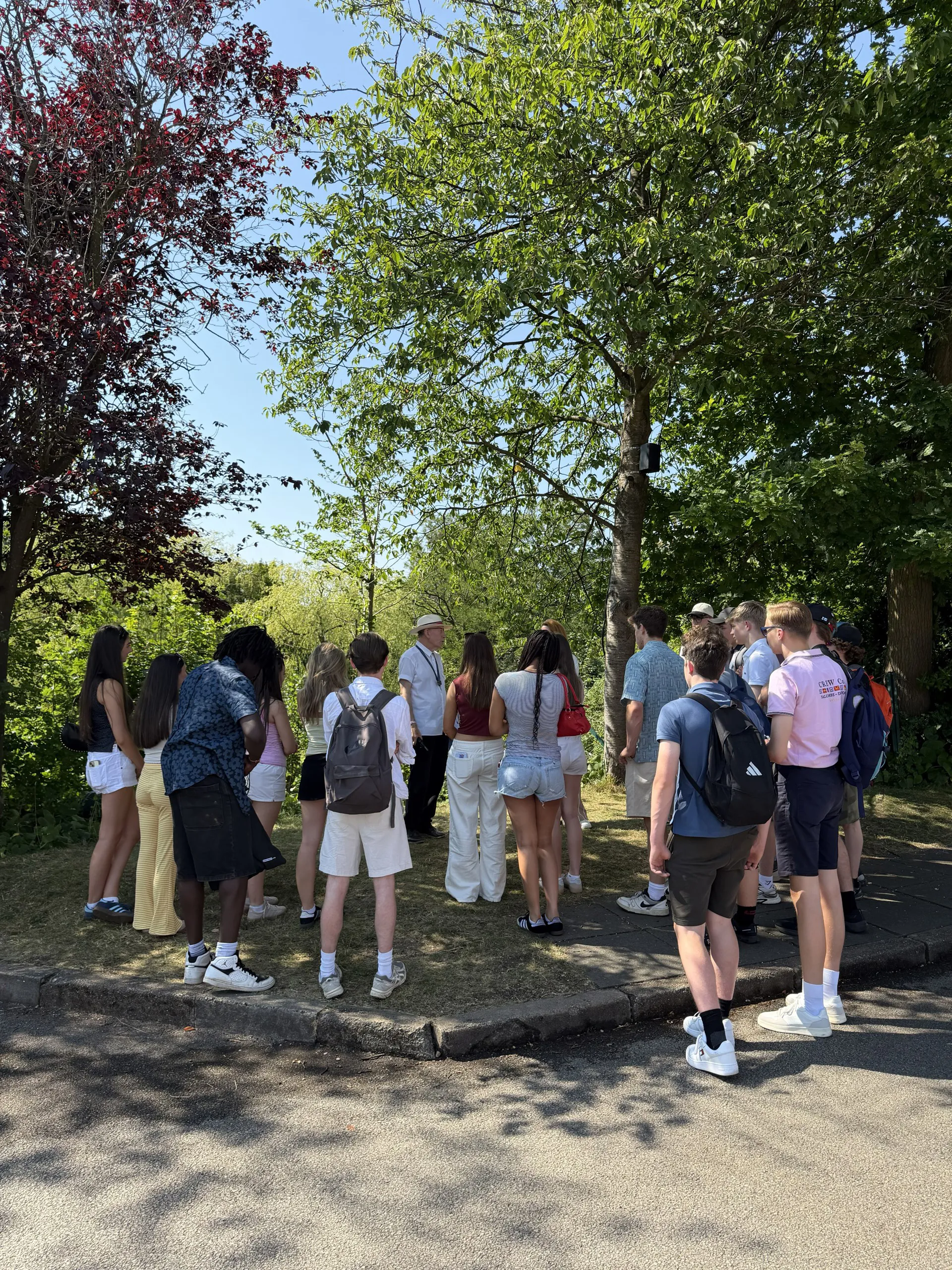 Group Of Students X2 Image