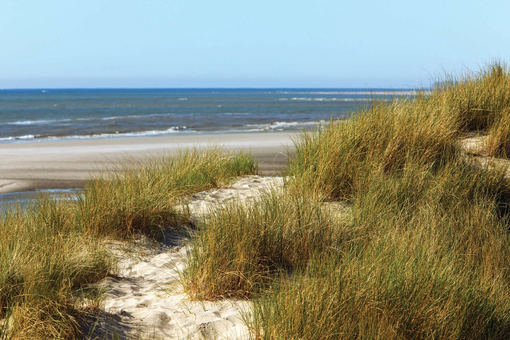 Opal Coast Beach