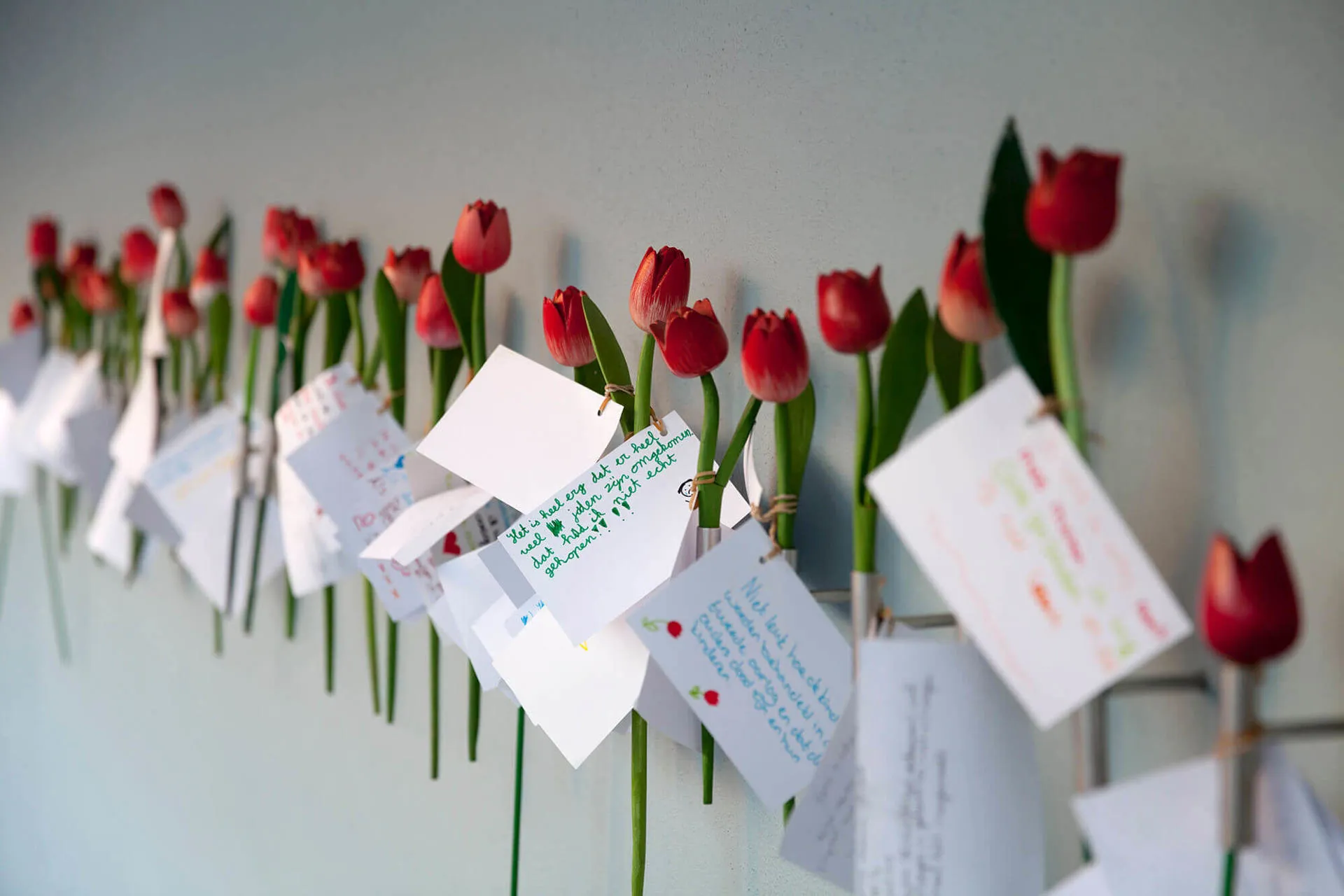 Amsterdam Holocaust Memorial & Dutch Theater Flowers Image