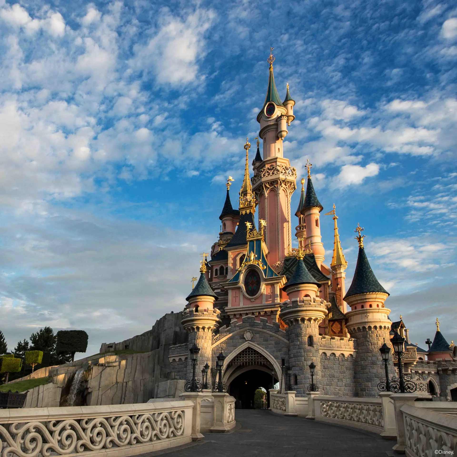 Disneyland Paris Castle (1) Image